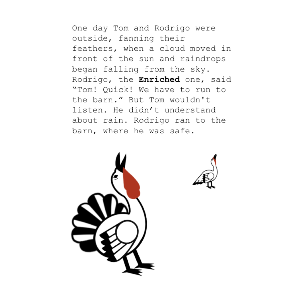 One day Tom and Rodrigo were outside, fanning their feathers, when a cloud moved in front of the sun and raindrops began falling from the sky. Rodrigo, the Enriched one, said “Tom! Quick! We have to run to the barn.” But Tom wouldn't listen. He didn’t understand about rain. Rodrigo ran to the barn, where he was safe.